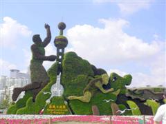 Topiary Photos